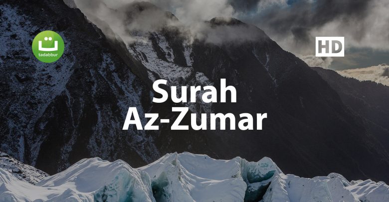 Surah Az Zumar Mishari Rasyid Al Afasy Tadabbur Daily